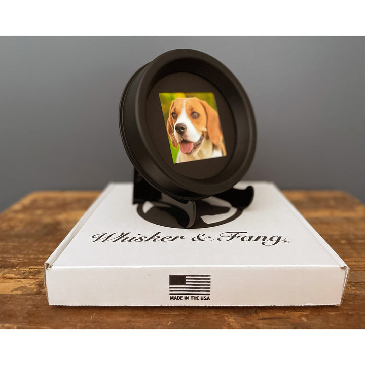 Pet memorial picture frame for displaying a cherished pet’s collar and photo, a thoughtful pet loss gift.