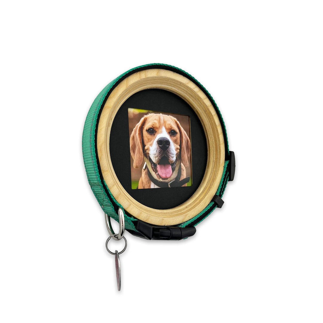 Handmade CircularWooden frame for medium dog collars | Memorial display for pets