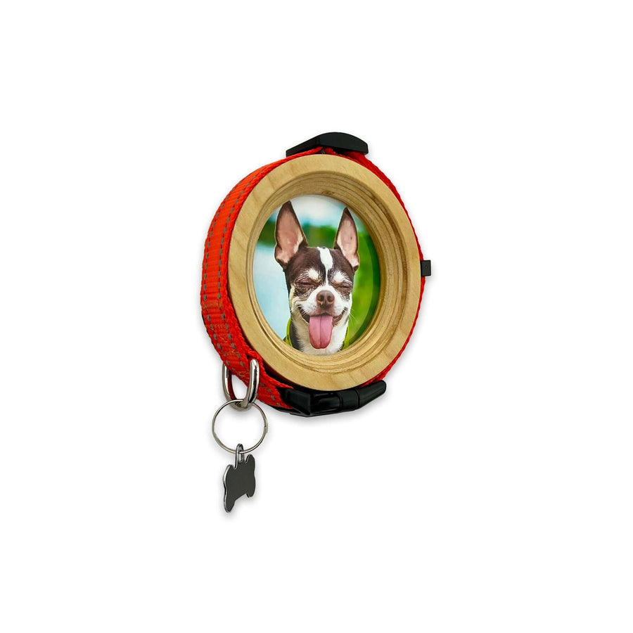 Colar Frame Pet Collar Memorial Frames β Pet Loss Keepsakes β Whisker & Fang