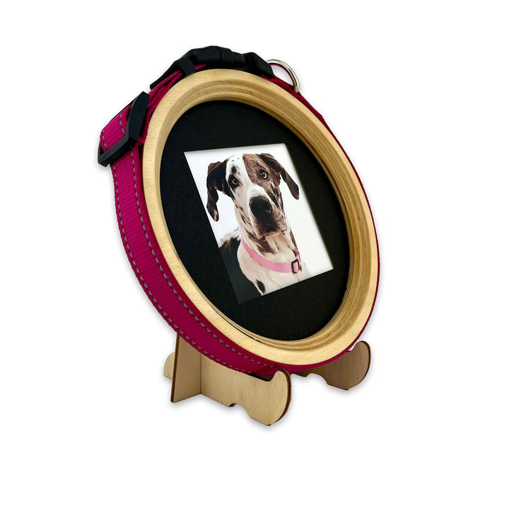 Dog Memorial Frame & Collar Display – Pet Loss Keepsake