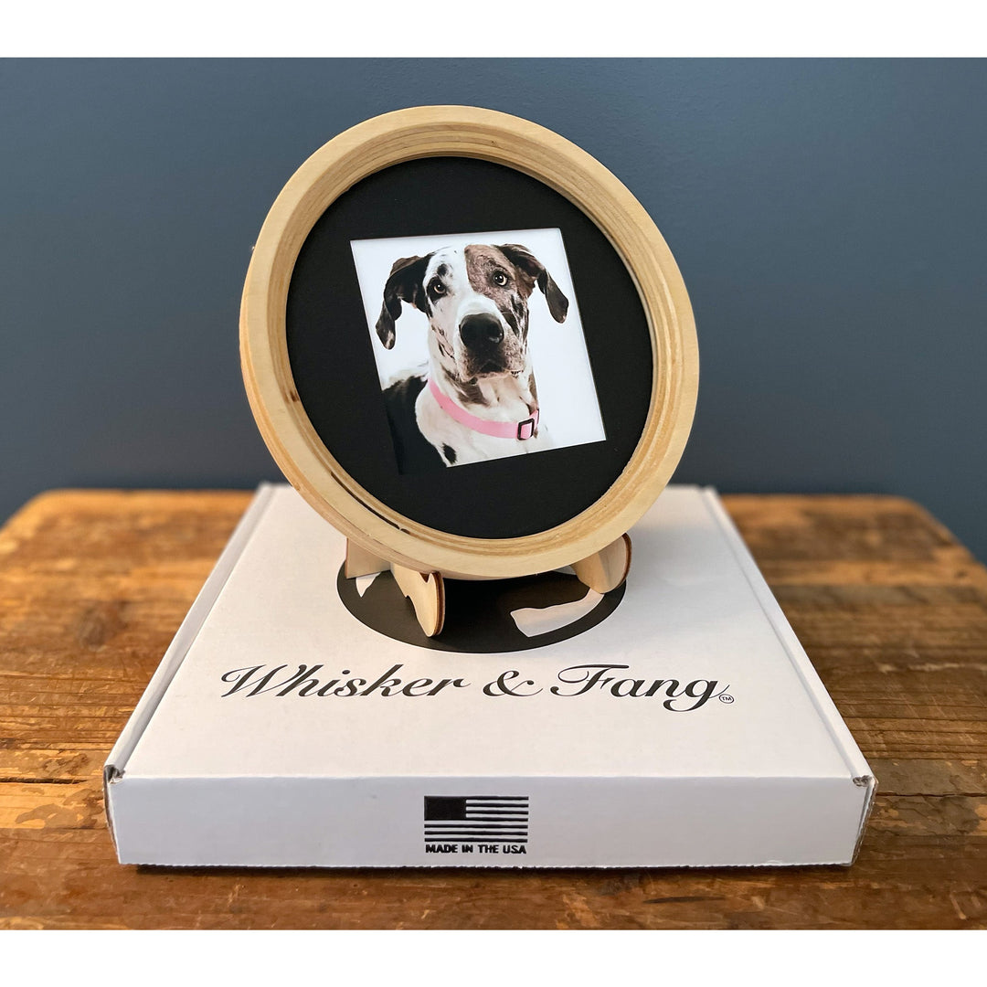 Dog Collar Display Frame – Thoughtful Pet Loss Gift