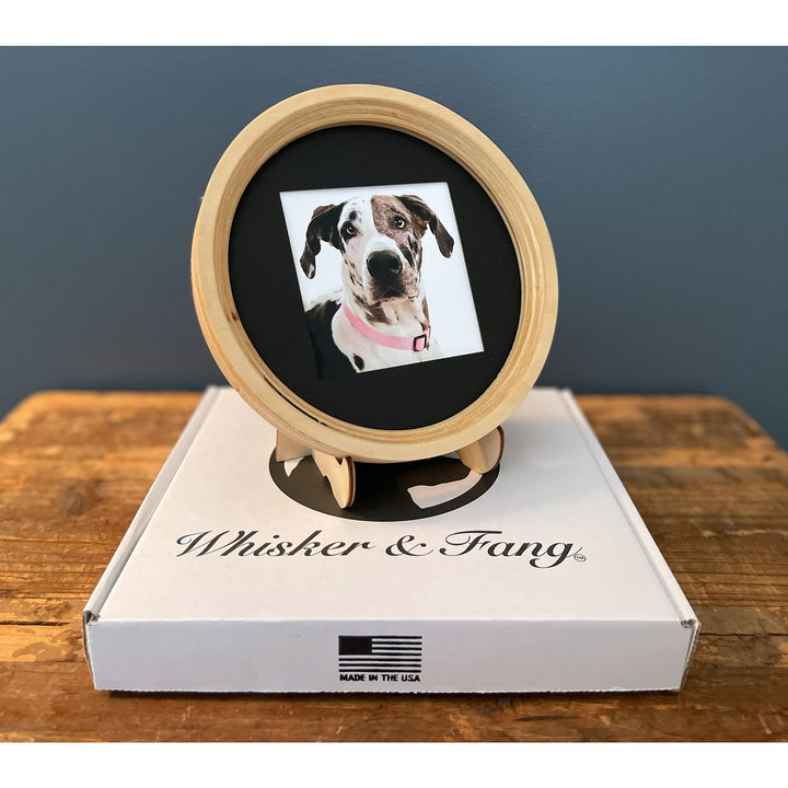 Dog Collar Display Frame – Thoughtful Pet Loss Gift