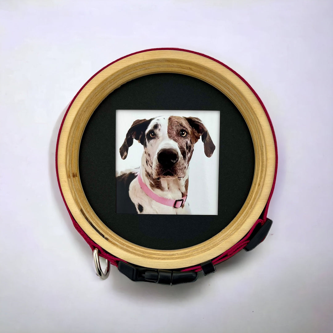 Pet Memorial Picture Frame Collar Display Whisker Fang