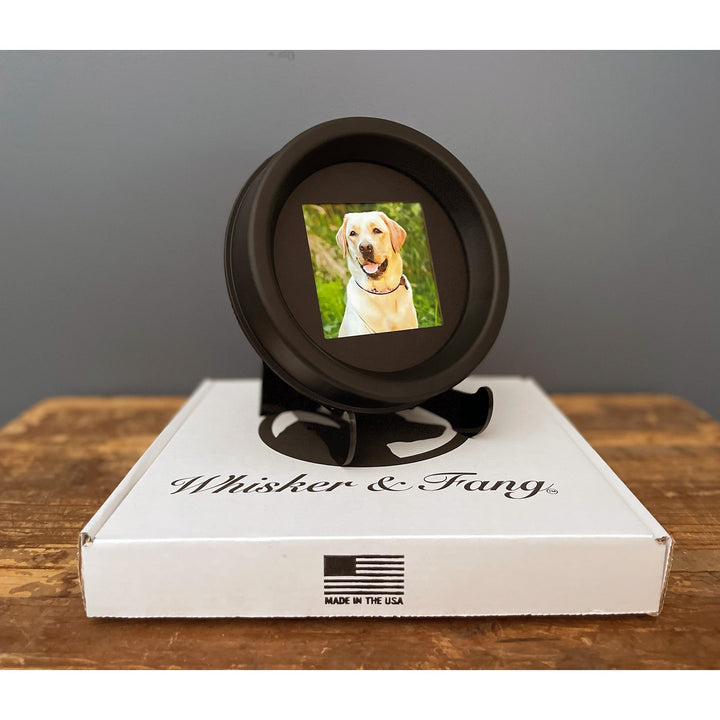 Pet memorial picture frame in a gift-ready setup, the perfect pet loss sympathy gift.